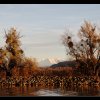 20101113_285